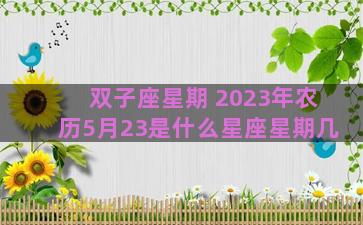 双子座星期 2023年农历5月23是什么星座星期几
